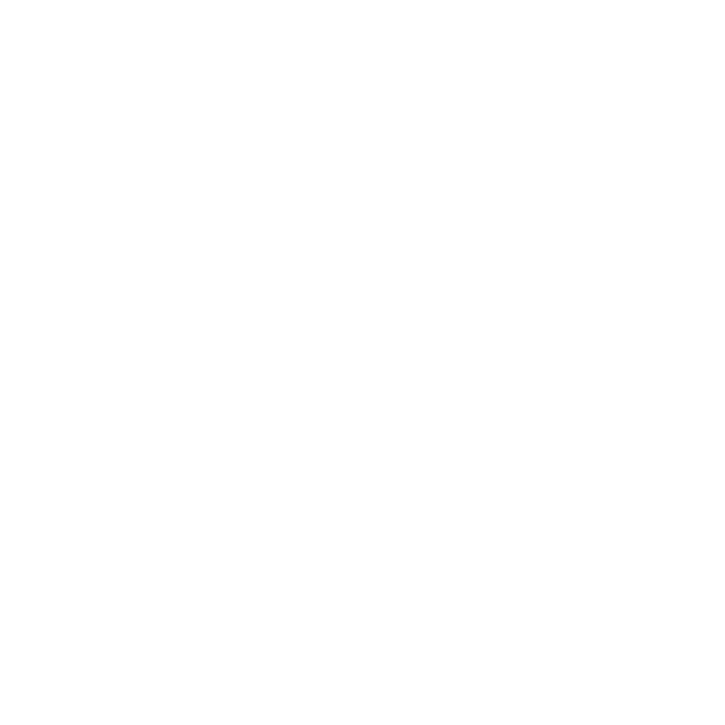 HAVANA CLUB Logo